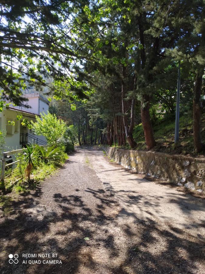 Casa En Plena Naturaleza Attcc00637 Valdecanas de Tajo ภายนอก รูปภาพ